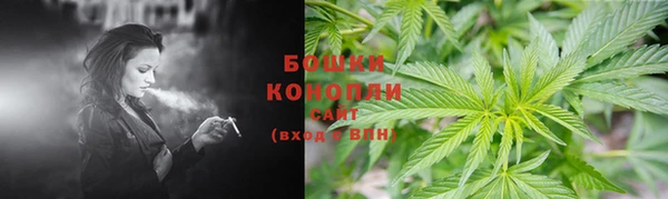 ГАЛЛЮЦИНОГЕННЫЕ ГРИБЫ Зеленодольск