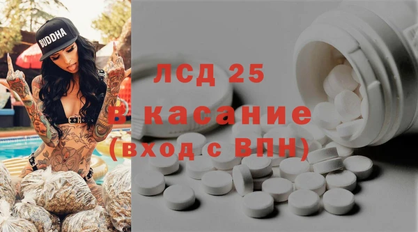 ГАЛЛЮЦИНОГЕННЫЕ ГРИБЫ Зеленодольск